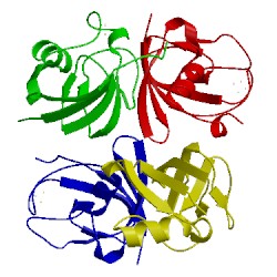 Image of CATH 1fxi