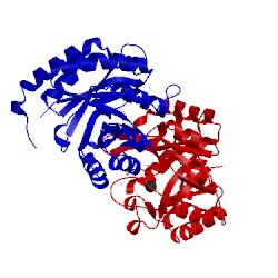 Image of CATH 1fxp