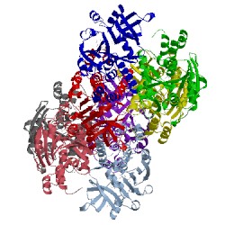 Image of CATH 1g0r