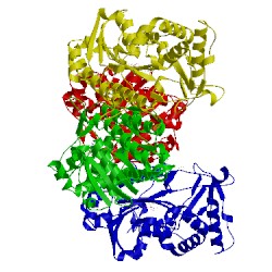 Image of CATH 1g1a