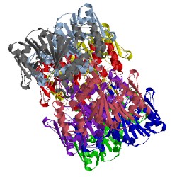 Image of CATH 1g2v