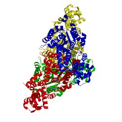 Image of CATH 1g4b