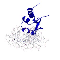 Image of CATH 1g4d