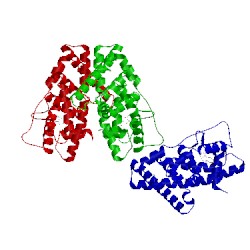 Image of CATH 1g50