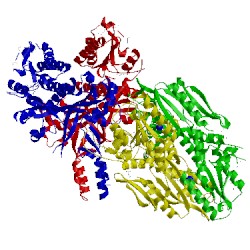 Image of CATH 1g5h