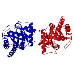 Image of CATH 1g6c