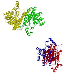 Image of CATH 1g6k