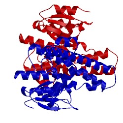 Image of CATH 1g6y