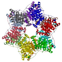 Image of CATH 1g8y