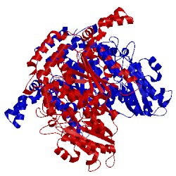 Image of CATH 1g98