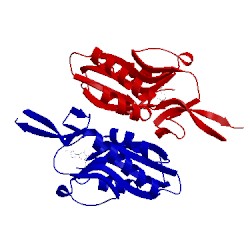 Image of CATH 1g9s