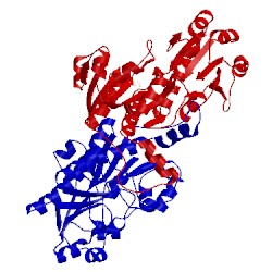 Image of CATH 1gdh