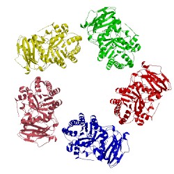 Image of CATH 1geh