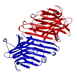 Image of CATH 1gkb