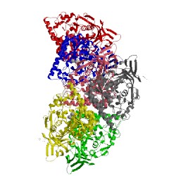 Image of CATH 1gkp