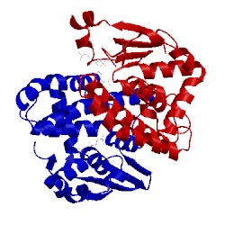 Image of CATH 1glp