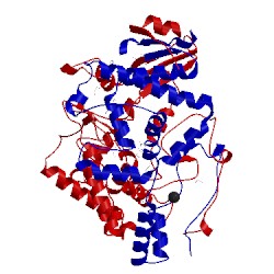 Image of CATH 1gm9