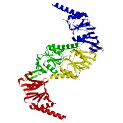 Image of CATH 1gml