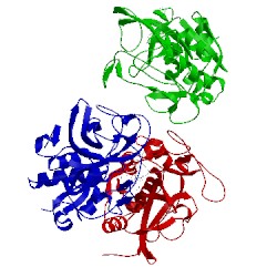 Image of CATH 1gmy