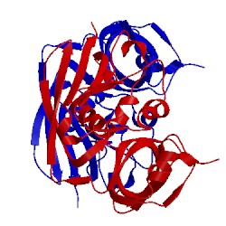 Image of CATH 1goz