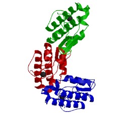 Image of CATH 1gp7