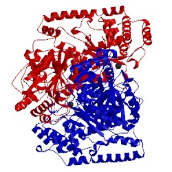 Image of CATH 1gpu