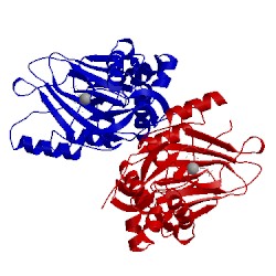 Image of CATH 1gqw