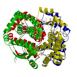 Image of CATH 1guh