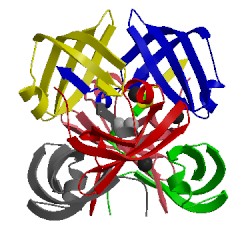 Image of CATH 1gus