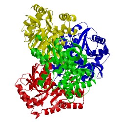 Image of CATH 1gv1