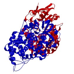 Image of CATH 1gwi