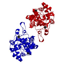 Image of CATH 1gx2