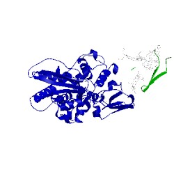 Image of CATH 1gx7