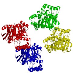 Image of CATH 1gxb