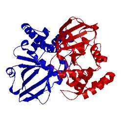 Image of CATH 1gxy