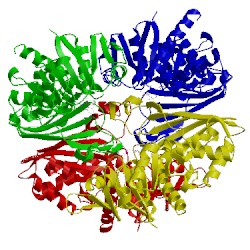 Image of CATH 1gyq