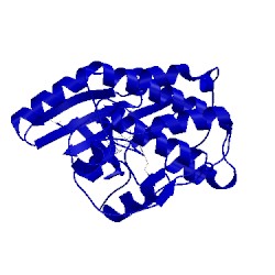 Image of CATH 1h00