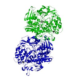Image of CATH 1h0h
