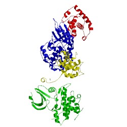 Image of CATH 1h26