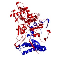 Image of CATH 1h2g
