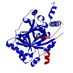 Image of CATH 1h2k