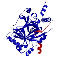 Image of CATH 1h2l