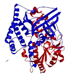 Image of CATH 1h2r