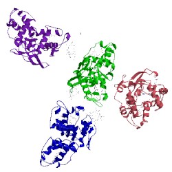 Image of CATH 1h31