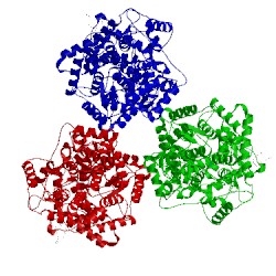 Image of CATH 1h3a