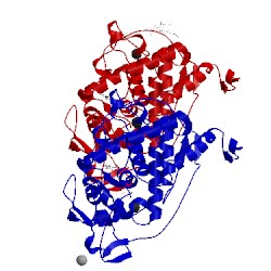 Image of CATH 1h3j