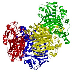 Image of CATH 1h4f