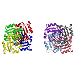 Image of CATH 1h4o