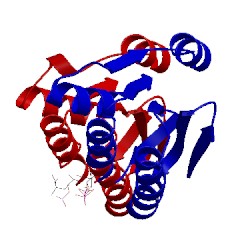 Image of CATH 1h4x