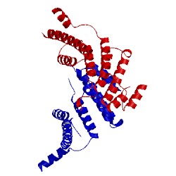 Image of CATH 1h6p